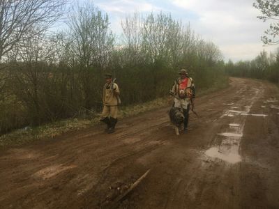 52 красноармейца обнаружил поисковый отряд «Победа» в Ржевском районе