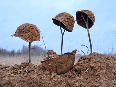 Двадцать три красноармейца обнаружили поисковики отряда «Пионер» в Ржевском районе