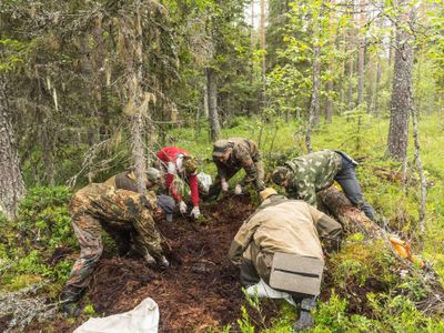 Поисковики объединения «Связь времен» провели экспедицию в Республику Карелия