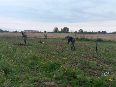 Поисковый отряд «Витязь» обнаружил 11 красноармейцев в Ржевском районе
