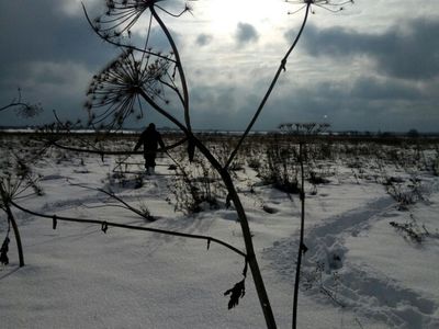 ПО «Победа» закрыл полевой поисковый сезон в Ржевском районе