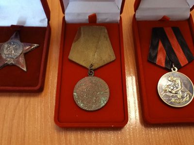 Красноармеец Петр Толокнов удостоен медали «Шагнувши в бессмертие» посмертно